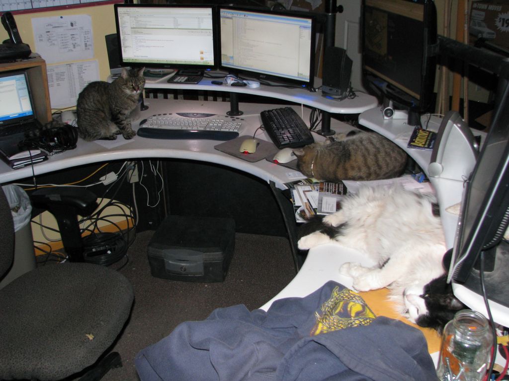 Desk covered
          with animals