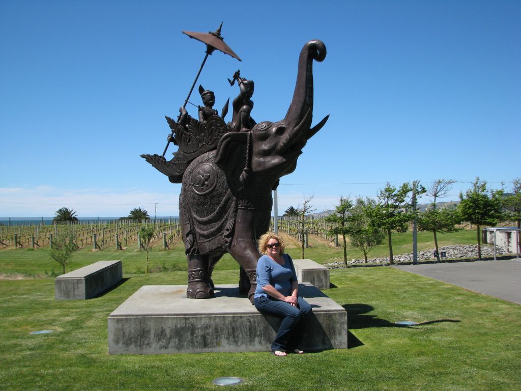 Overlooking Hawke Bay at Elephant Hill