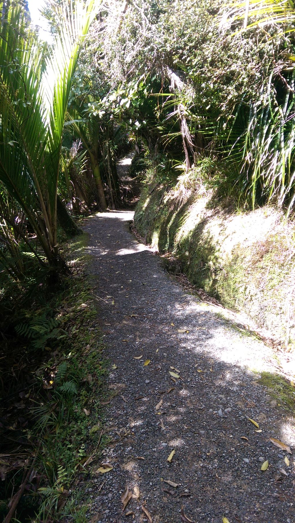 Track along the Pororari