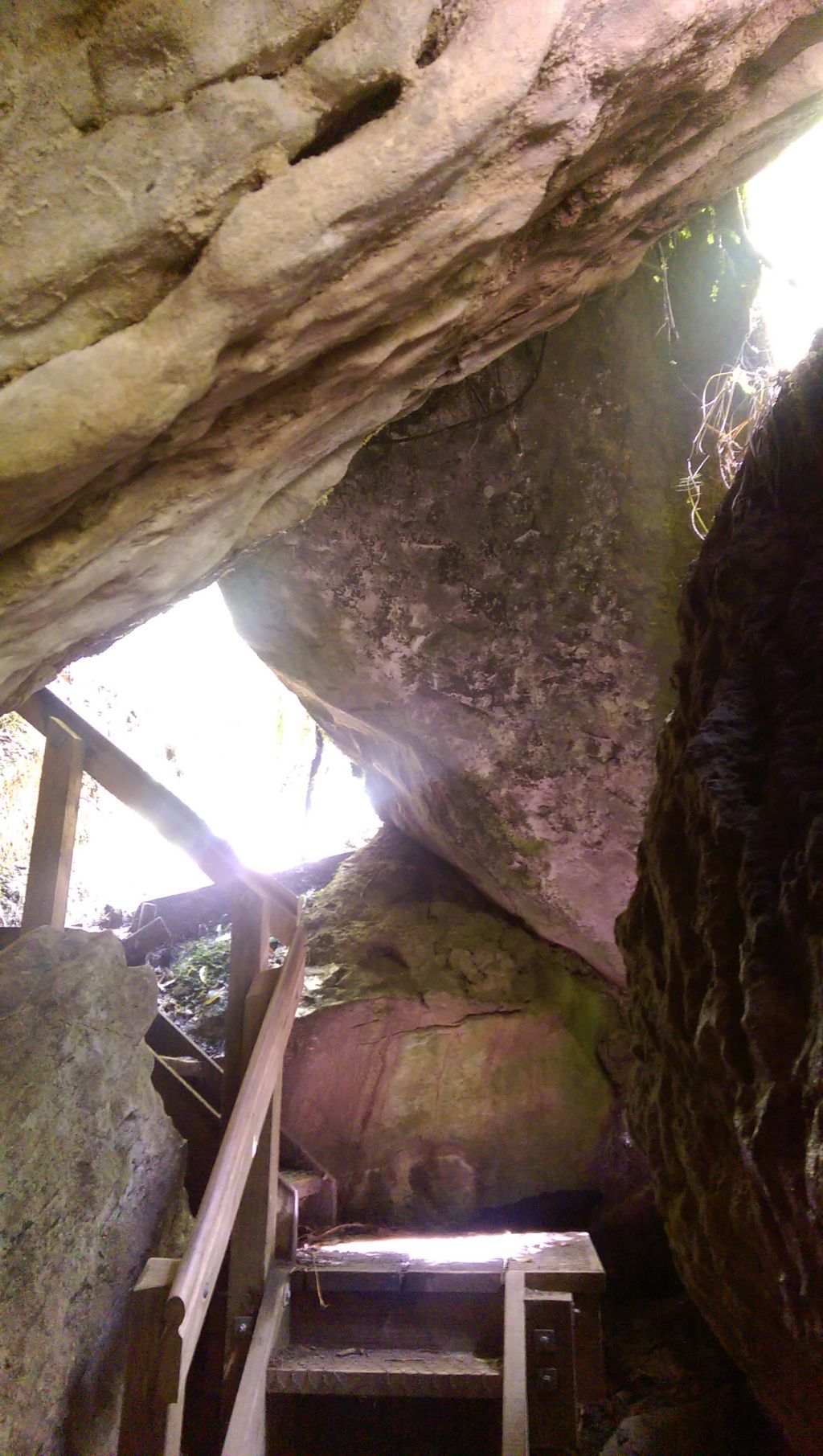 Pororari track tunneled through a limestone structure